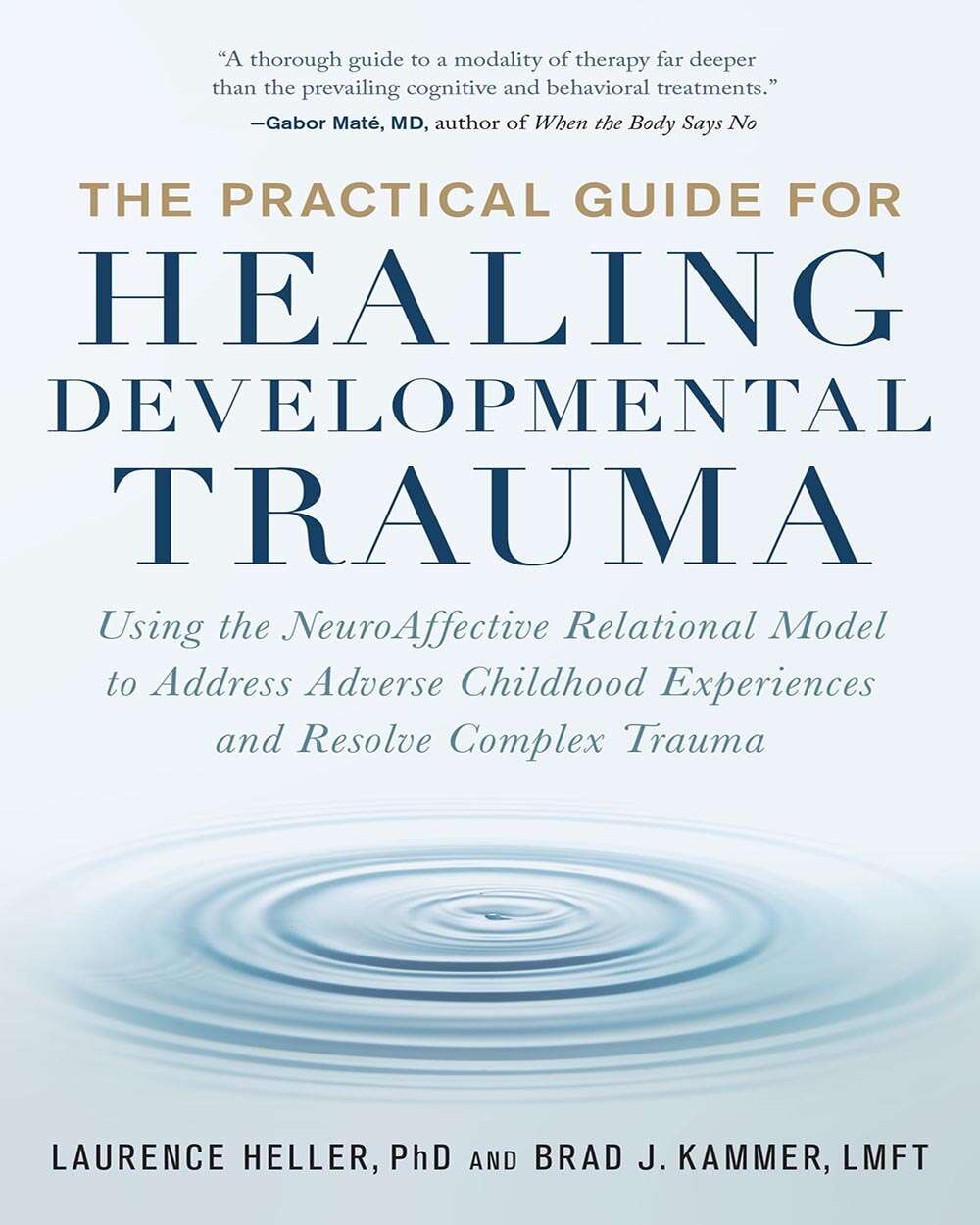 The Practical Guide for Healing Developmental Trauma: Using the NeuroAffective Relational Model to Address Adverse Childhood 